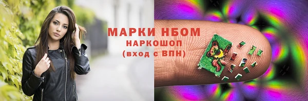 прущий лед Богданович