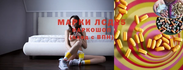 прущий лед Богданович