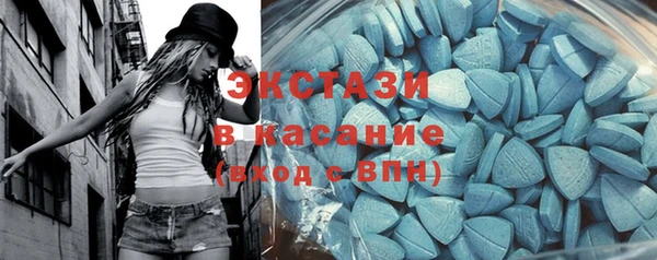 дживик Богородск
