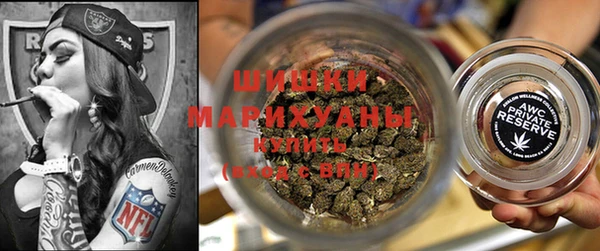 прущий лед Бородино