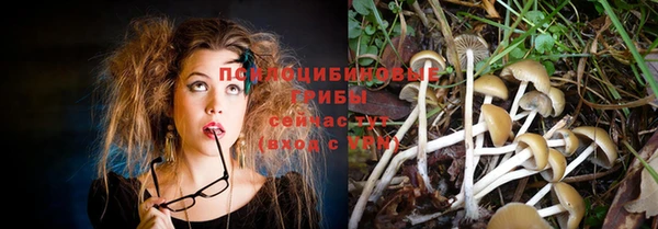 PSILOCYBIN Бугульма