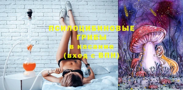 PSILOCYBIN Бугульма