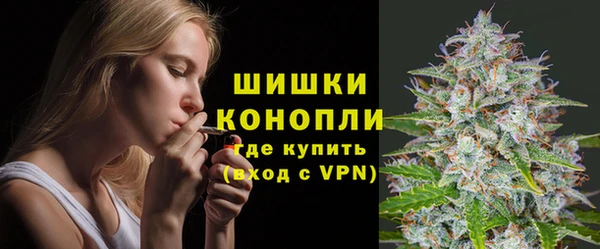 прущий лед Бородино