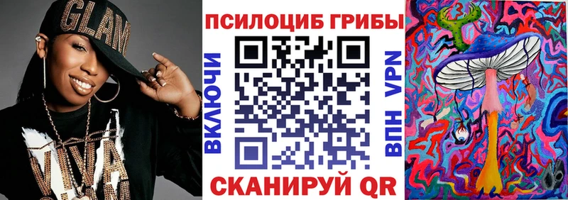 MEGA   Мураши  Псилоцибиновые грибы мицелий  закладки 