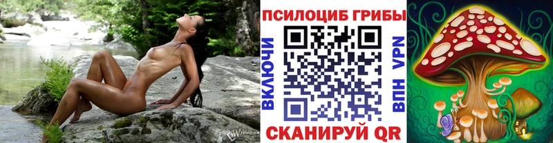 Галлюциногенные грибы GOLDEN TEACHER Мураши